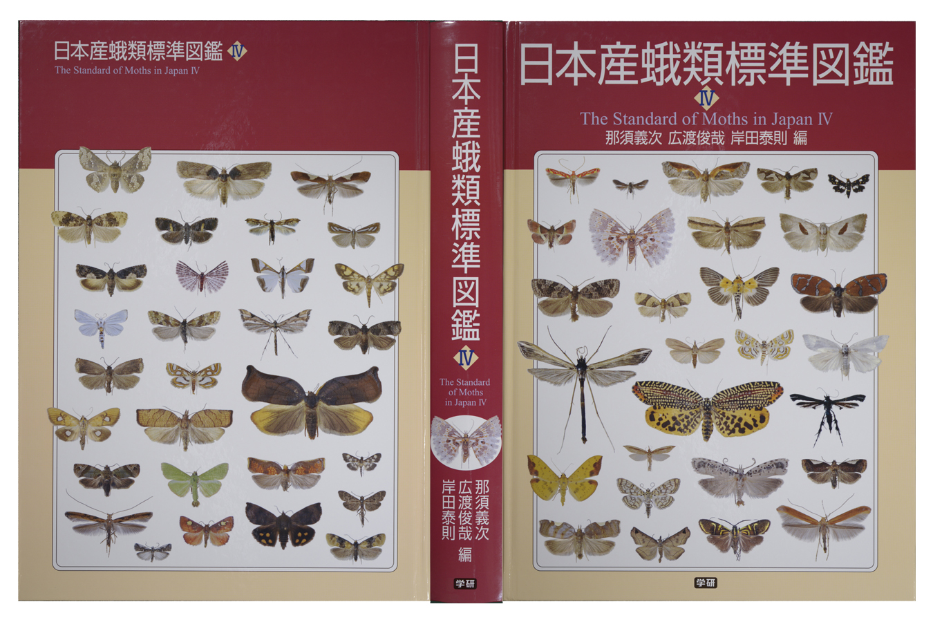 日本産蛾類標準図鑑Ⅳ拡大図